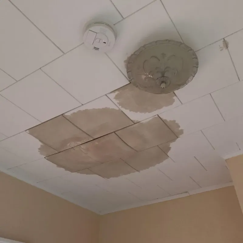 Ceiling Water Damage Repair in Oakland, NE