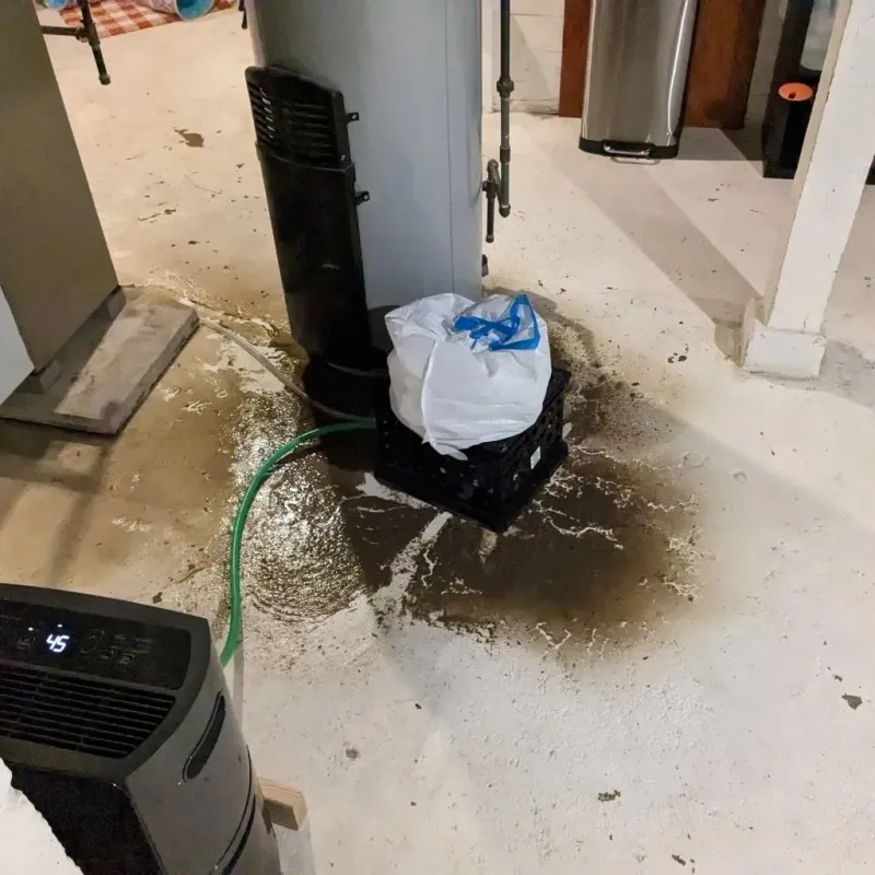 Sewage Backup Cleanup Service in Oakland, NE